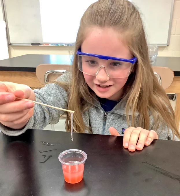 Student uses a wooden stick to hold DNA (extracted from strawberries) above a cup of strawberry and detergent juice. 