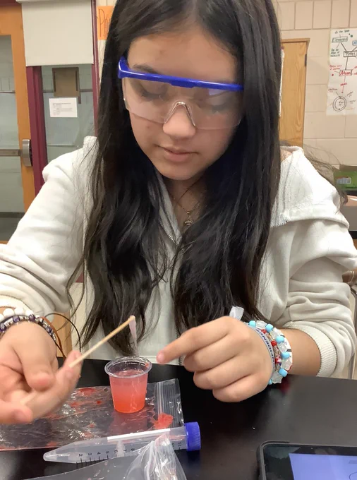 Student uses a wooden stick to pull DNA out of a mix of strawberry pulp and detergent. 