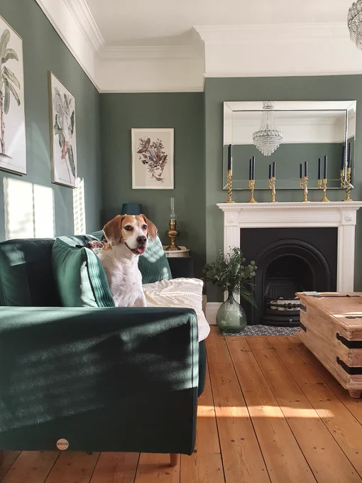 pup on a Snug Big Chill sofa in forest green