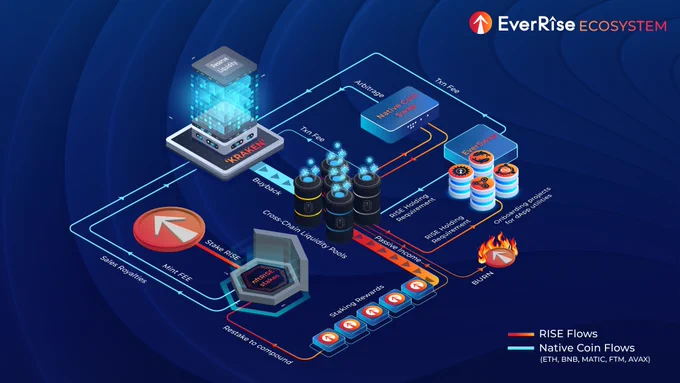 The EverRise EcoSystem