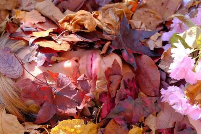 A woman lies on her back. A close-up photograph of her face and shoulders. She is covered in autumn leaves and cherry blossom, her face partly obscured.