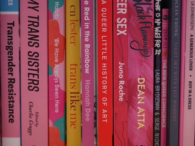Snapshot of a shelf of books about transgender people. 