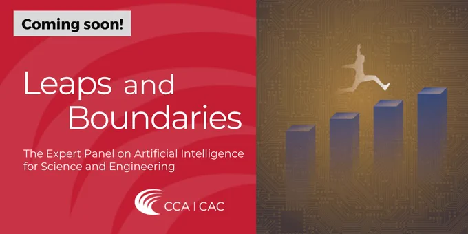 Leaps and Boundaries: The Expert Panel on Artificial Intelligence for Science and Engineering