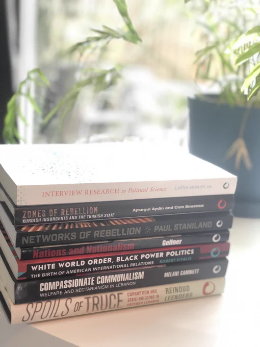 Stacked books in the foreground on a desk, with a plant in the background in front of a window.