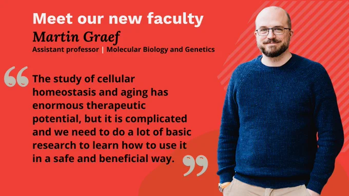 Meet our new faculty Martin Graef, assistant professor, molecular biology and genetics. "The study of cellular homeostatis and aging has enormous therapeutic potential, but it is complicated and we need to do a lot of basic research to learn how to use it in a safe and beneficial way."