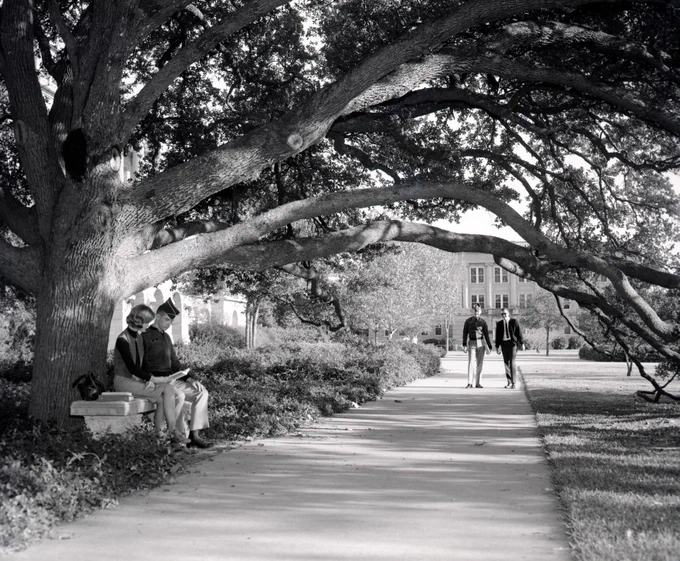 A black and white photo of a cadet and a woman sitting under the century tree together.
