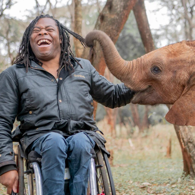 Presenter Ade Adepitan with elephants in Kenya.