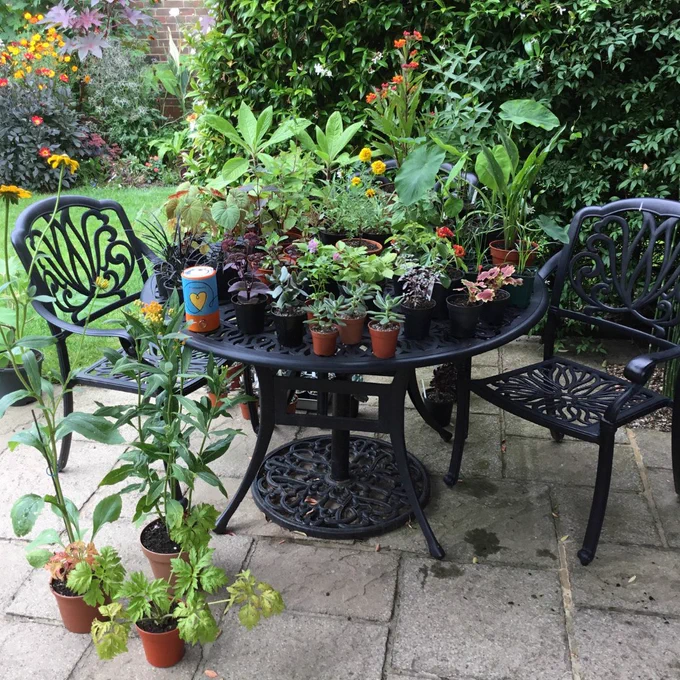A set of two metal chairs and a matching table with a variety of potted plants on top.