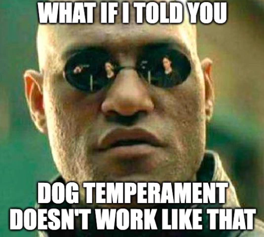 Morpheous from the Matrix "But what if I told you" Meme (even though Morpheous doesn't actually say this line in the Matrix) where Neo/Keanu Reeves is reflected in Morpheous's mirrored sunglasses with text that says "But what if I told you dog temperament doesn't work like that?"