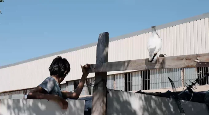 Imagen Barrio Cementerio Alicante, captura del documental sobre el proyecto Asertos que se presentará a principios de junio. ©Noé Hidalgo // Arquitectura Sin Fronteras España & Quatorze.