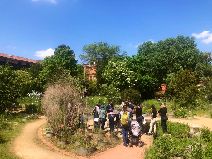 Petit étang urbain sur le Jardin de plantes, Toulouse