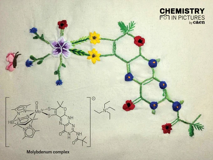 An embroidered schematic of a molybendum pterin complex with flowers in place of some of the atoms. The chemical structure of the molybdenum complex is inset.