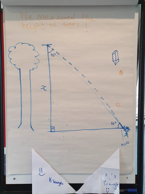 Measuring the height of a tree using triangles