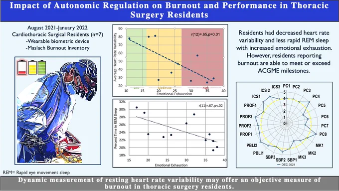 Dynamic measurement of resting heart rate variability may offer an objective measure of burnout in thoracic surgery residents. Residents had decreased heart rate variability and less REM sleep with increased emotional exhaustion but maintained the ability to meet Milestones at or above the level expected of their post-graduate year.