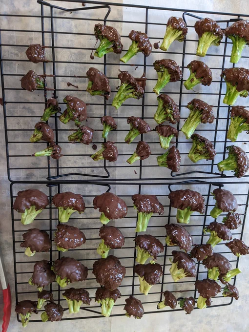 Two wire drying racks full of broccoli florets whose leafy tops have been covered with a layer of chocolate.