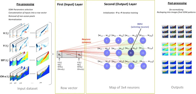 Summary diagram of the 3x4 SOM (Self Organizing Maps) architecture and functioning described in section 2.2. During the pre-processing, the input dataset which consist of 2-D daily satellite data (U(tj), V(tj), SST (tj), Chl-a(tj) with j=1: n days) is concatenated into a row vector X (which makes up the input layer). X is composed of n=3479 arrays (one for each day of the observational record) each of p=4416 elements (1104 pixels *4 variables). Each SOM neuron (or pattern) gets assigned a weight vector ((w1,1… w1,p)… (w12,1… w12,p)) that changes with the iterative training (second layer). When a BMU (wining neuron, dark blue circle) is found its weight vector and neighbouring neurons (light green shaded area) are updated. During the post-processing, the SOM outputs are reshaped into 2-D images.