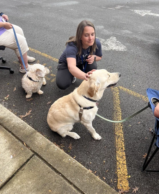 Pet therapy dogs greeting librarians.
