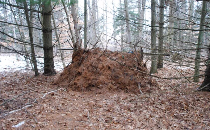 stick fort