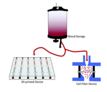 A 3D-printed transfusion platform reveals beneficial effects of normoglycemic erythrocyte storage solutions and a novel rejuvenating solution