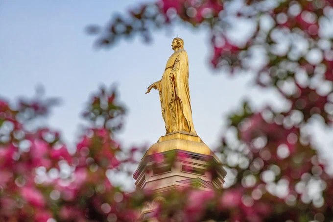 Pink flowered branches are blurred in the foreground surrounding a golden statue of the Virgin Mary in focus in the background.