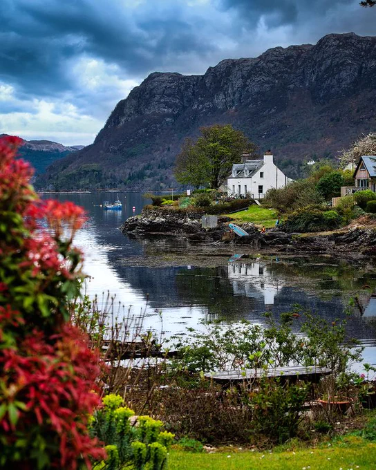 Image Description: A view of Plockton Harbour with red flowers in the foreground and mountains in the background