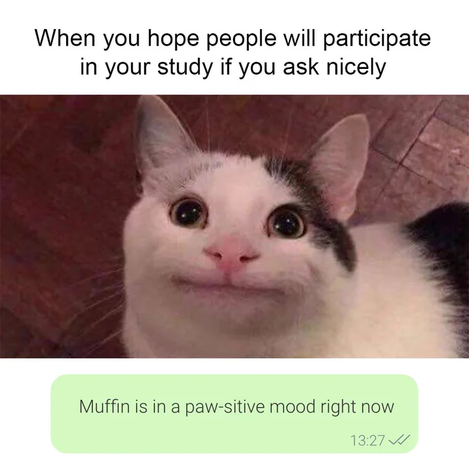 cat gazing up hoping people will participate in the study
