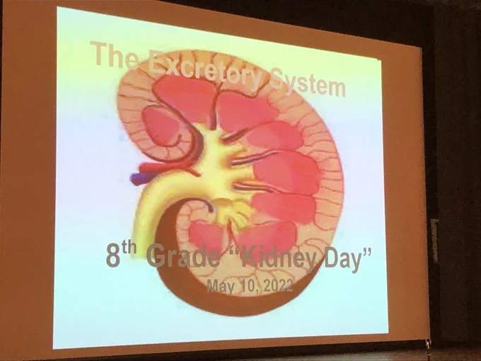 kidney