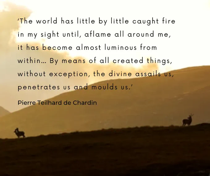 silhouette of mountains and a stag at sunset with quote by Pierre Teilhard de Chardin 