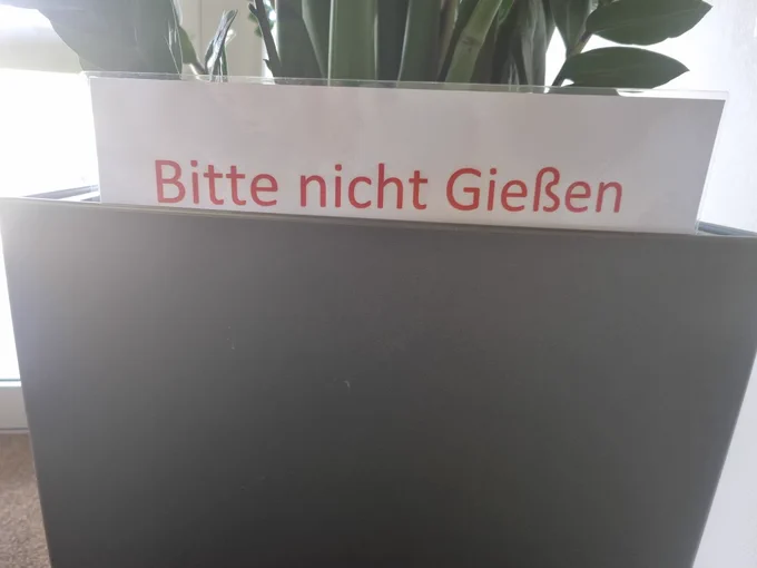 Ein Schild "Bitte nicht Gießen" steckt in einer Pflanze 