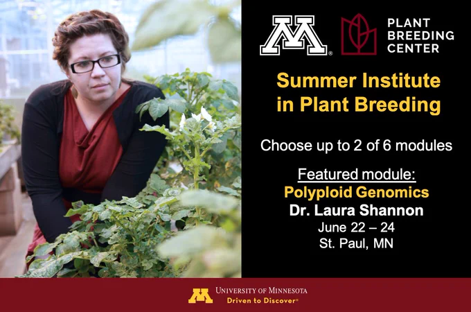 
Portrait of Dr. Laura Shannon inspecting potato plants in a greenhouse.
Plant Breeding Center
Summer Institute in Plant Breeding
Choose up to 2 of 6 modules
Featured module: 
Polyploid Genomics
Dr. Laura Shannon
June 22 – 24
St. Paul, MN
