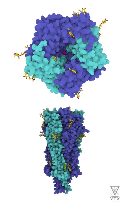 PDB ID 6pv7 rendered with VTX