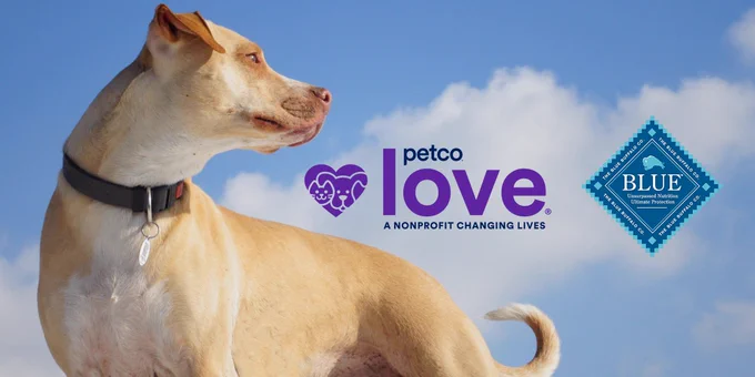 A dog stands with a blue sky behind them. The Petco Love and Blue Buffalo logo appear nearby.