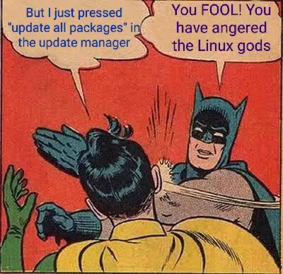 Batman slaps Robin; as Robin says 'but I just pressed "update all packages" in the update manager', Batman: 'You Fool! You have angered the Linux gods'