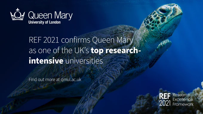 White text above a photo of a sea turtle. Text reads: REF 2021 confirms Queen Mary as one of the UK’s top research-intensive university
