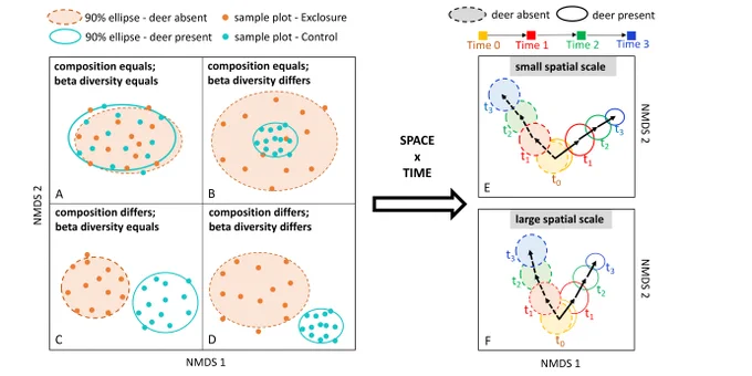 Theoretical outcomes of deer effects on plant community composition and beta diversity across space and time
