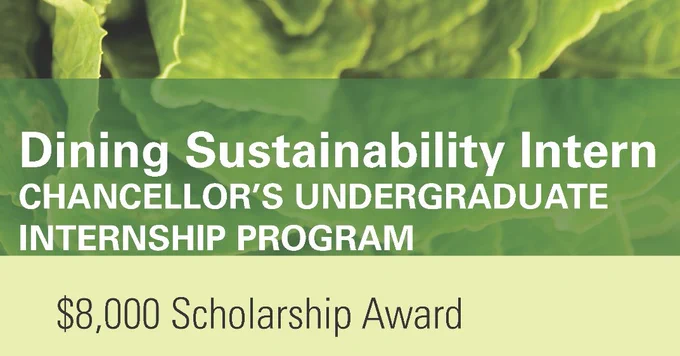 Image of yummy lettuce with the words "Dining Sustainability Intern Chancellor’s Undergraduate Internship Program, $8,000 Scholarship Award"