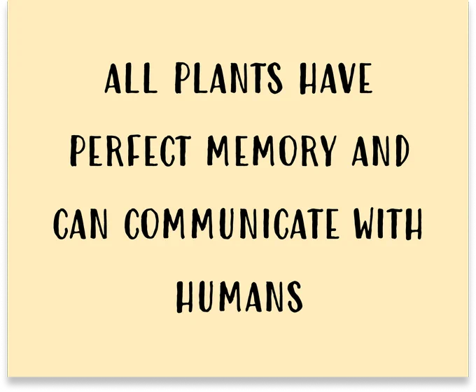 Sticky note with the text "All plants have perfect memory and can communicate with humans"
