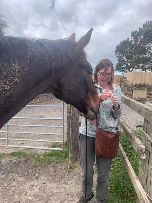 A dark bay horse, his neck matted with mud, is peering hopefully at me as I unwrap some mints. His nose nuzzles my hand. We're standing together in the corner of a field.