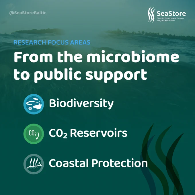 RESEARCH FOCUS AREAS From the microbiome to public support
Biodiversity
CO2 Reservoirs
Coastal Protection