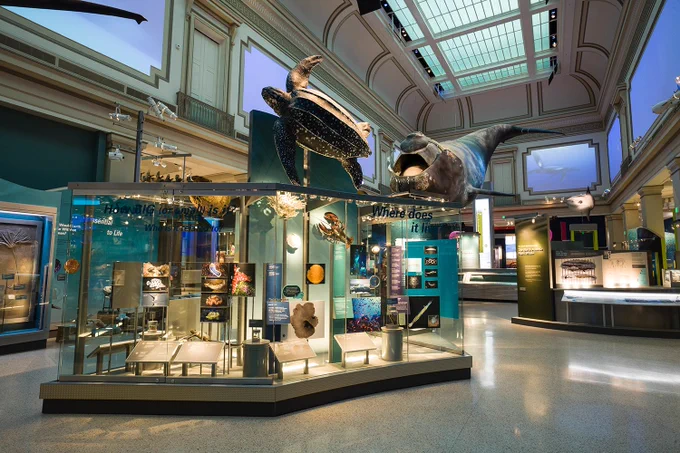 A photo of the Sant Ocean Hall at the Smithsonian National Museum of Natural History