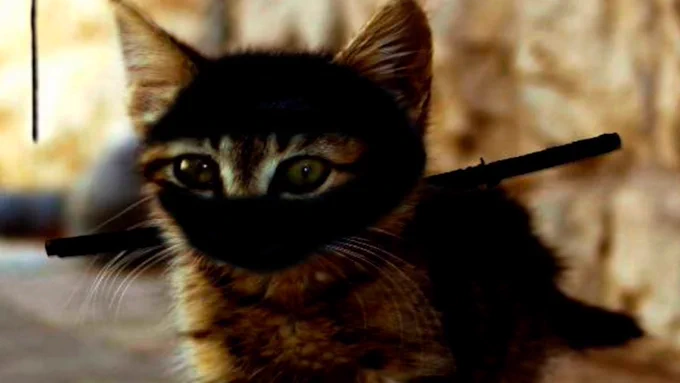 it is a ninja cat. with a mask. and a katana. blurred background. he/she is really scary. well, not so much.