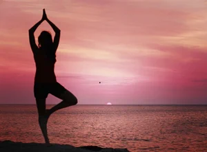 A silhouette of a woman in tree pose, with a pink sunset over the ocean behind her.