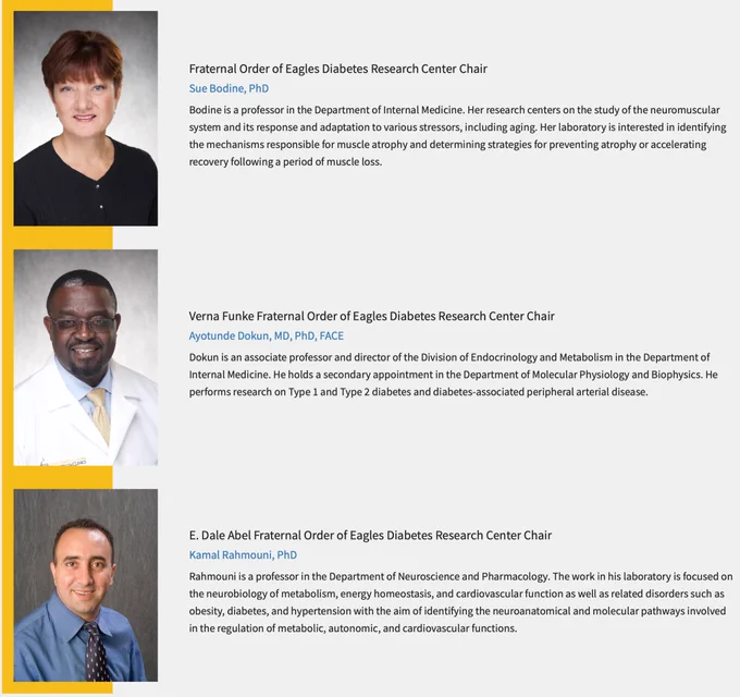 Three portraits beside text naming the person, the chair, and a brief bio of their research in the FOEDRC.

Fraternal Order of Eagles Diabetes Research Center Chair
Sue Bodine, PhD

Verna Funke Fraternal Order of Eagles Diabetes Research Center Chair
Ayotunde Dokun, MD, PhD, FACE 

E. Dale Abel Fraternal Order of Eagles Diabetes Research Center Chair
Kamal Rahmouni, PhD