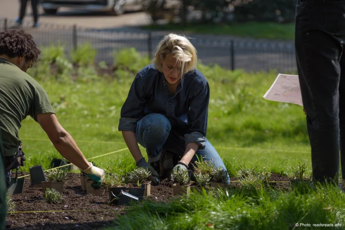 Plants are placed into the ground. 