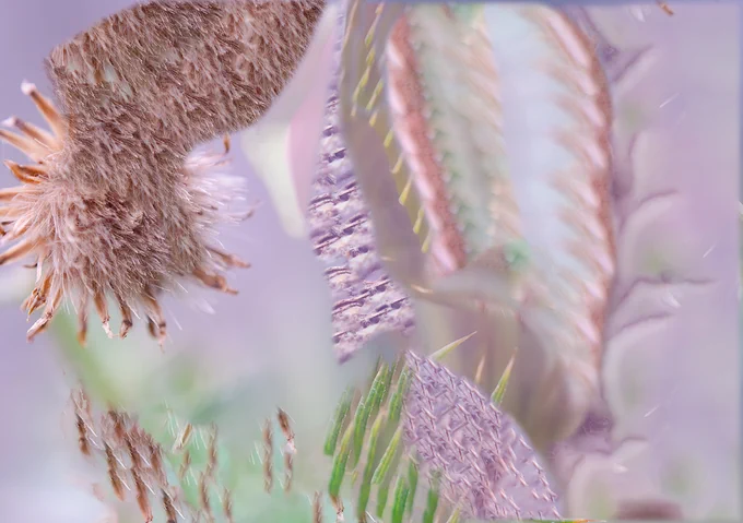 Image 2) A close-up image of an object that has been abstracted. Green, purple, and pink figures fill the image frame. 