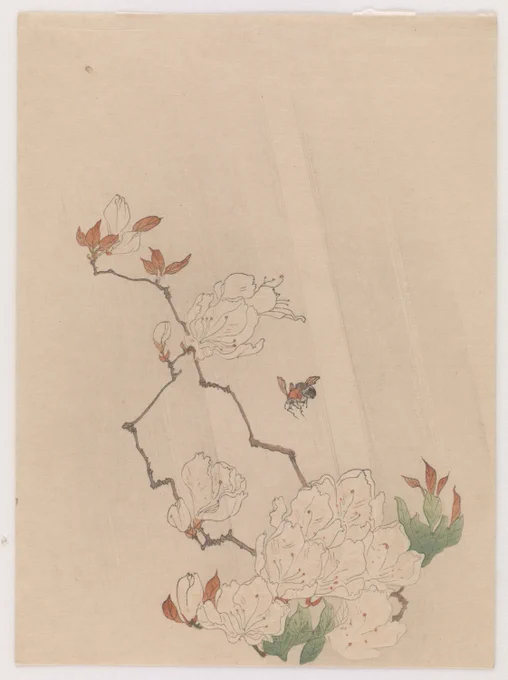 Drawn from an angle below the flower, rain comes down in long, straight grey lines. A bee hovers over a white plant with little red tips or leaves and some green leaves. Some brown twig-like stems are visible.