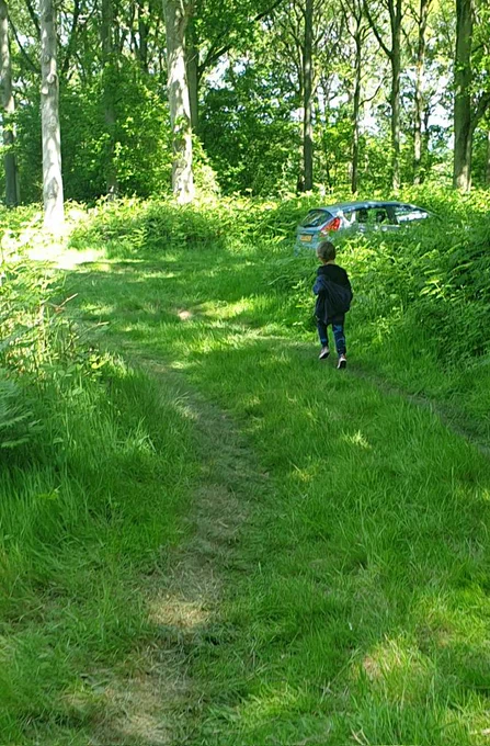 Rear view of a 6 year old running on a path in sun dappled ancient woodland. 