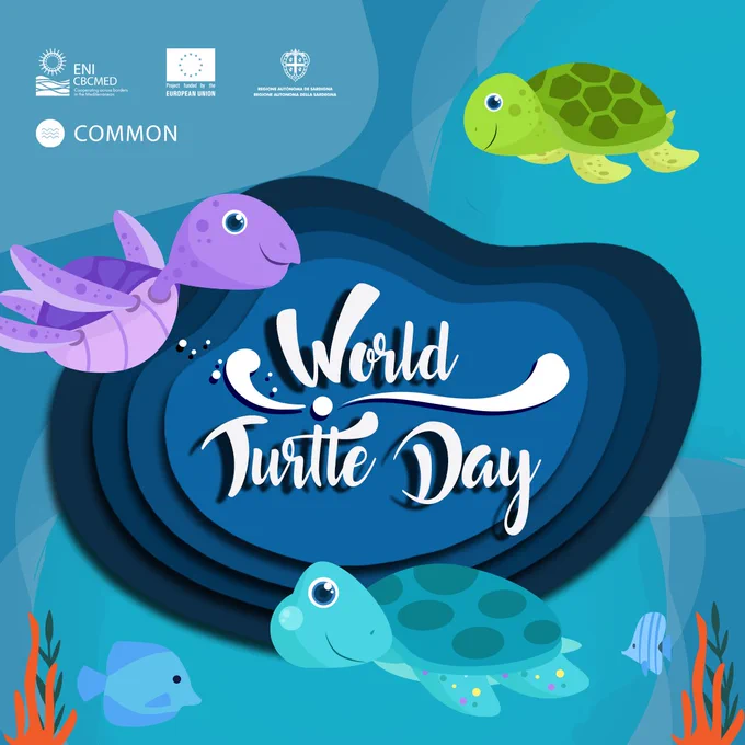 world turtle day