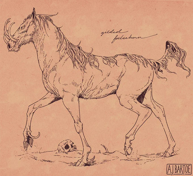 The third illustration from the previous set of boar-like horses but with the shading layer removed, leaving just a line drawing. This creature resembles a horse but with the tusks of a babirusa and mane of a warthog, and is labelled in cursive script as a "gilded falsehorn."
