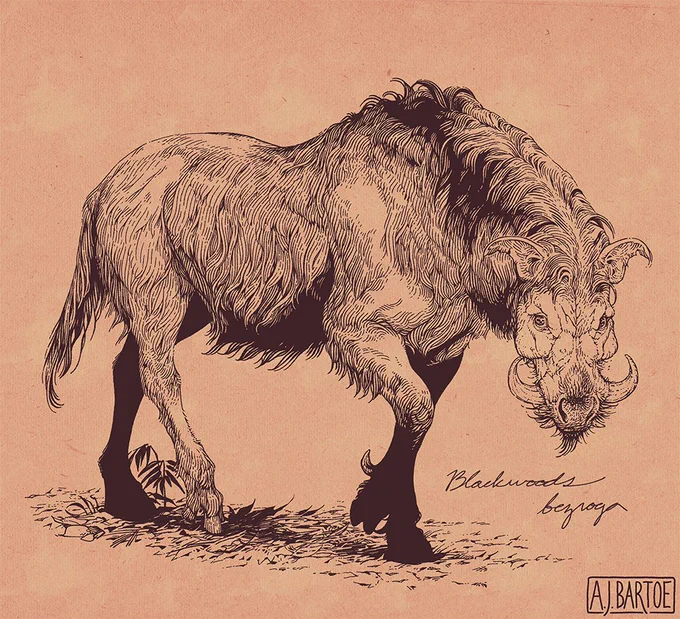The second illustration from the previous set of boar-like horses but with the shading layer removed, leaving just a line drawing. This creature resembles a horse but with the tusks and long dark hair of a giant forest hog, and is labelled in cursive script as a "Blackwoods bezroga."